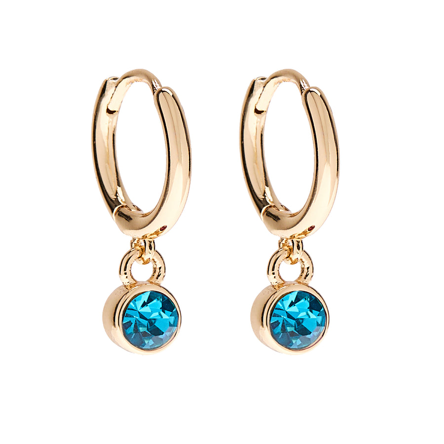 December Birthstone Earrings in Gold