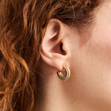 Congo Earrings in Gold