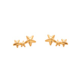 Star Earring Set in Gold