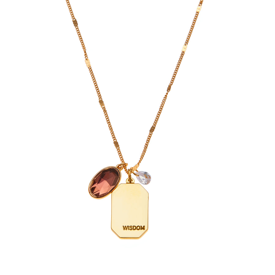 February Birthstone Necklace in Gold