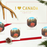 Maple Leaf Bangle in Silver